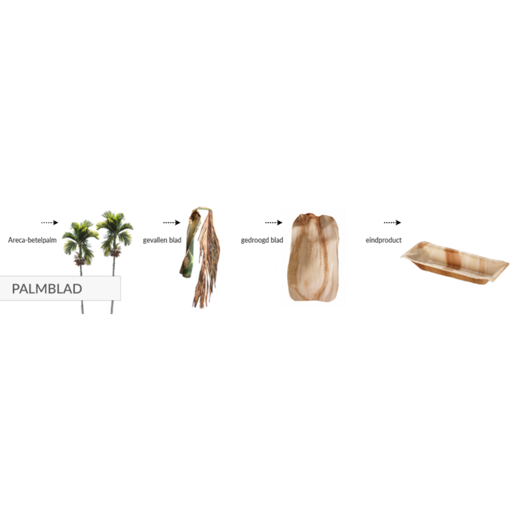Schaal, palmblad, 16x24cm (100 stuks) - 1