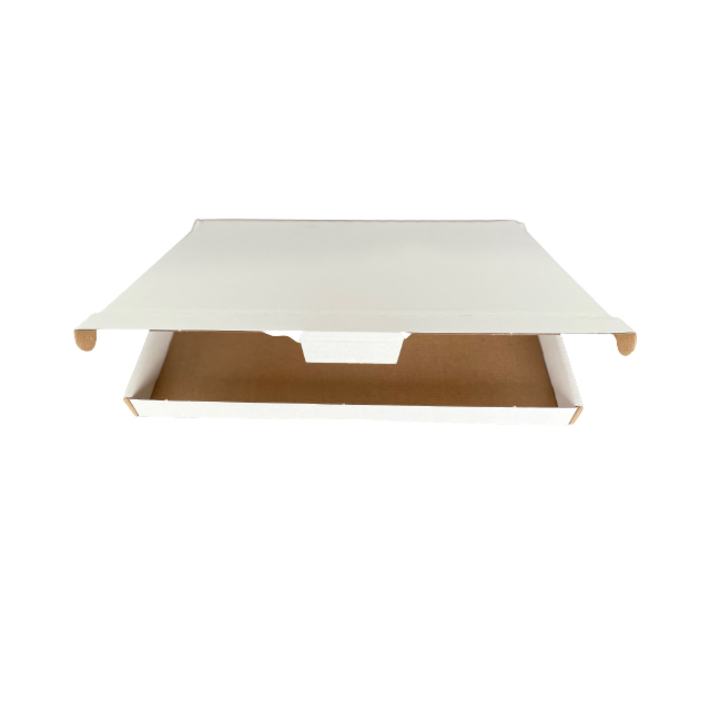 Brievenbusbox budget a6 165x120x26mm wit(1000040q) - 0