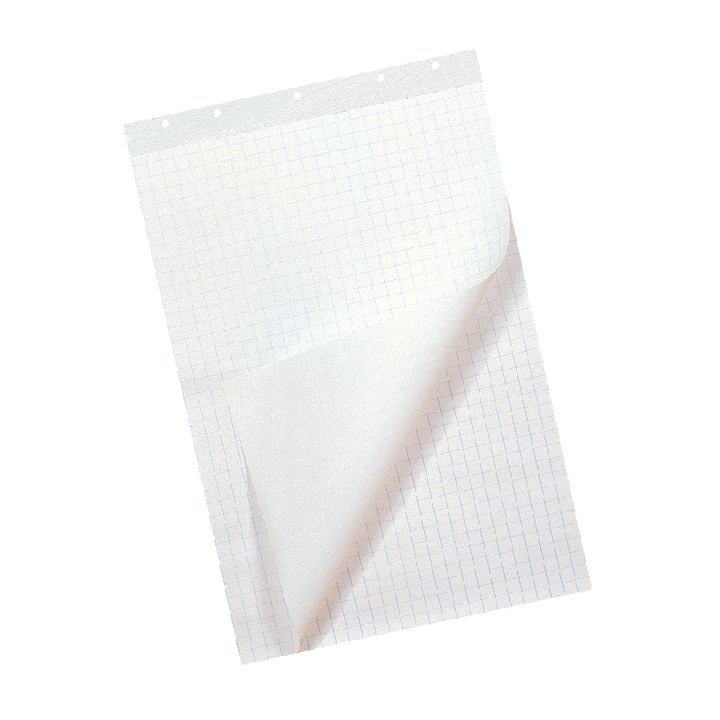 Flipoverpapier qua 65x100cm blanco/ruit 80gr (890920133) - 0
