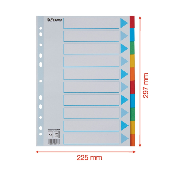 Tabbladen esselte a4 11r karton 10dlg(100193) - 1
