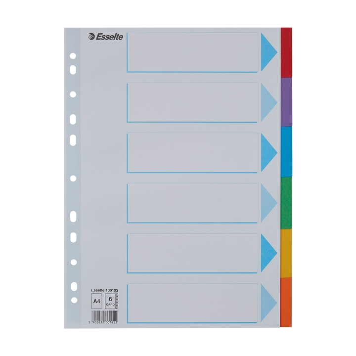 Tabbladen esselte a4 11r karton 6dlg(100192) - 0