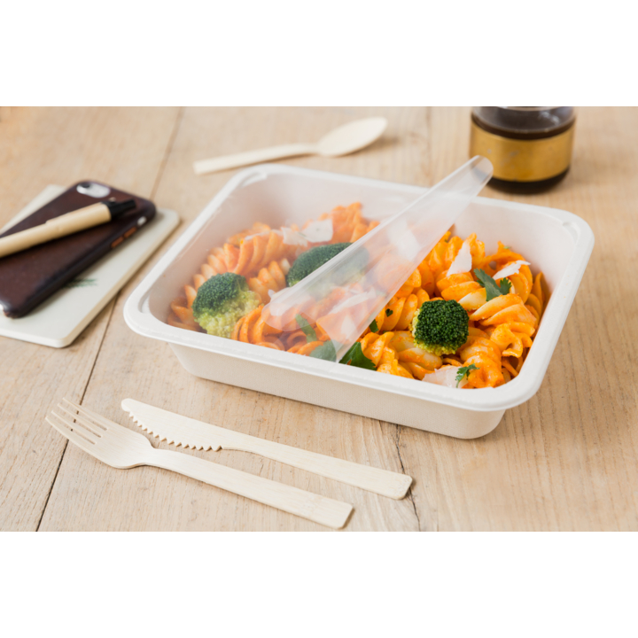 Menuschaal 1 vaks, suikerriet, 227x178x50mm (300 stuks) - 1