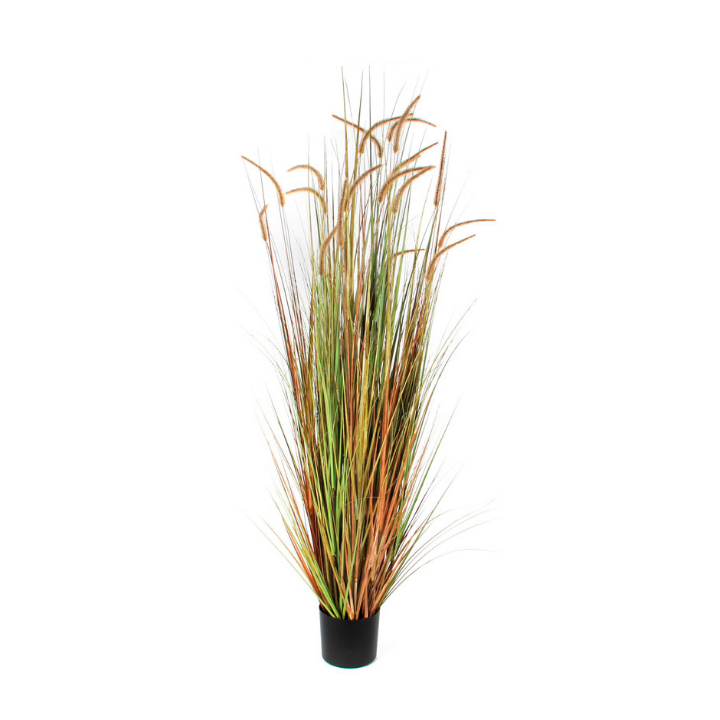 Pluimgras Dogtail, zijden plant, 180 cm, VB 653790 - 0